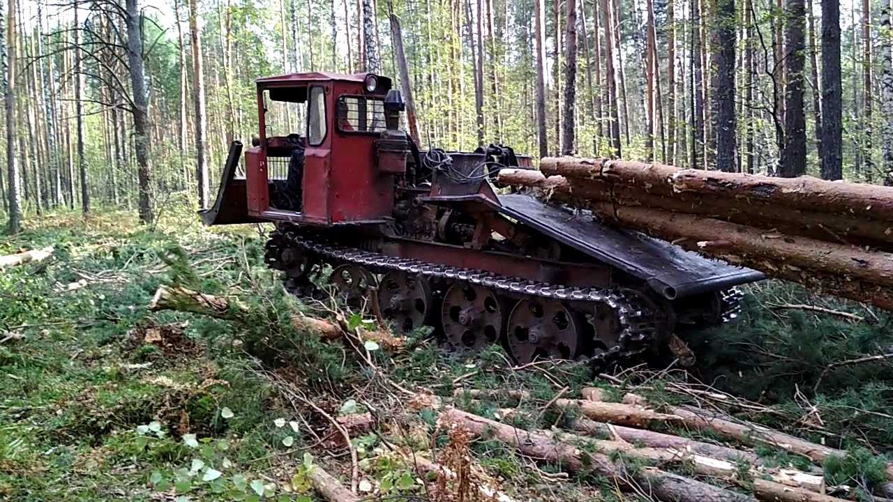 Чокерный трактор: незаменимый инструмент в лесозаготовительной промышленности